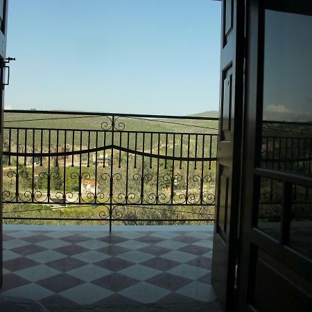 Ample Modern Country Home Неа Епидаврос Екстериор снимка